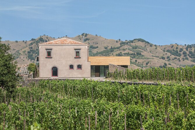 Etna Wine Tasting & Sicilian Lunch –Small Group Tour from Catania - Emilio Sciacca Etna Wine at Palmento Martinella: Lunch With 3 Etna DOC Wines