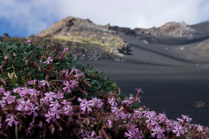 Etna's Hidden Gems - Trek Valle Bove & Lava Tunnel with Gear - Stop 3: Silvestri Craters for high-altitude crater character