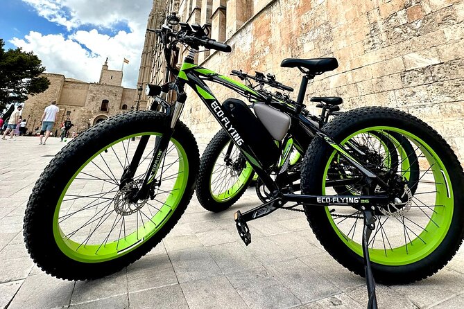 Exclusive Fat Tire E-Bike Tour in Palma - Touring Palma’s major sights: a stop-by-stop route you can picture