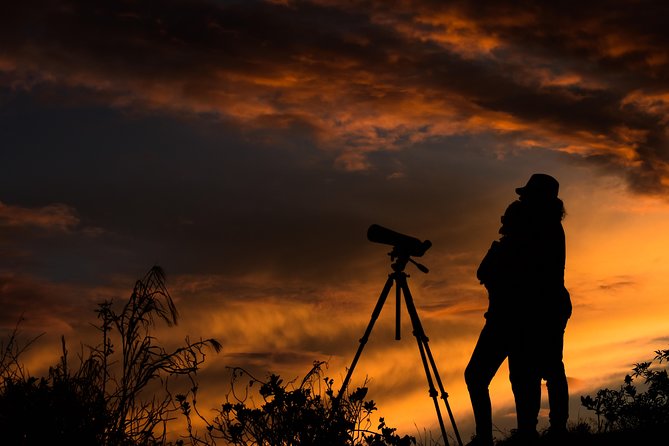 EXCLUSIVE Night Tour with Night Vision- small groups 8 people max - Key things to know before you go