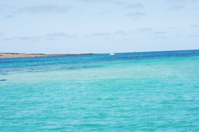 Excursion to Asinara Stintino La Pelosa National Park - Stop 2: Cala Reale Sea Turtle Recovery Center (And Why It Matters)
