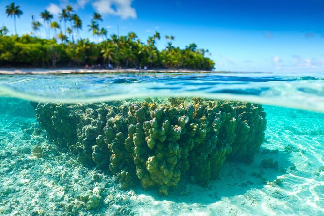 Excursion to Tetiaroa by Catamaran Visit Lunch Snorkeling - Key things that make this Tetiaroa catamaran day work