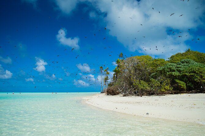 Excursion to Tetiaroa by Catamaran Visit Lunch Snorkeling - Boat comfort details that matter more than you think