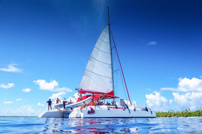 Excursion to Tetiaroa by Catamaran Visit Lunch Snorkeling - Breakfast on board: pastries, fruit, juice, and coffee/tea