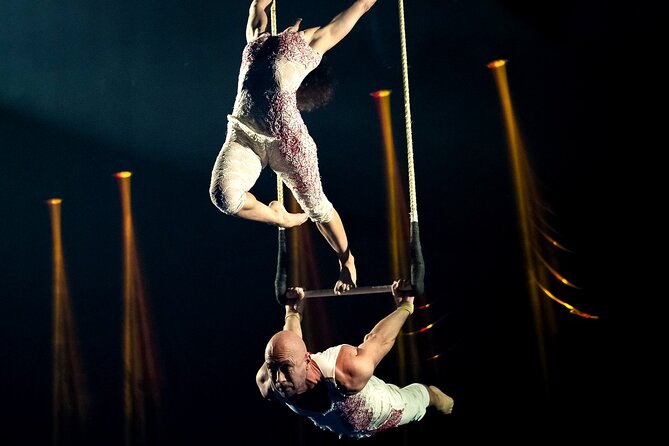 EXHIBIT - Acrobatics, Dance & Art - What you’ll see: daring acrobatics, choreographed dance, and a soundtrack that drives the tempo