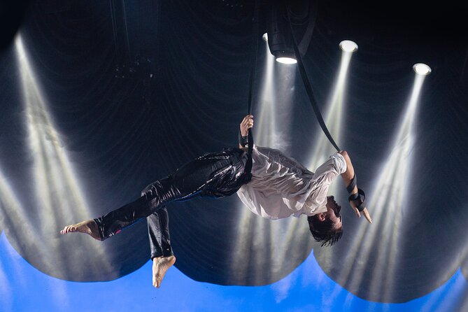 EXHIBIT - Acrobatics, Dance & Art - Getting there and leaving: taxi reality after the show