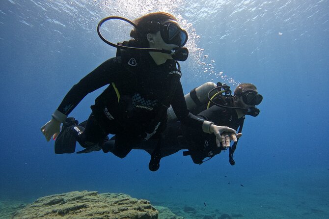 Experience Scuba Diving in Heraklion Crete - Key things you’ll notice right away