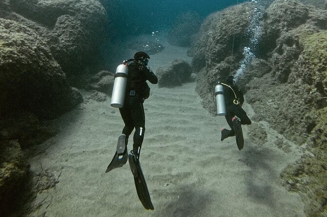 Experience Scuba Diving in Heraklion Crete - What you can realistically see under the surface