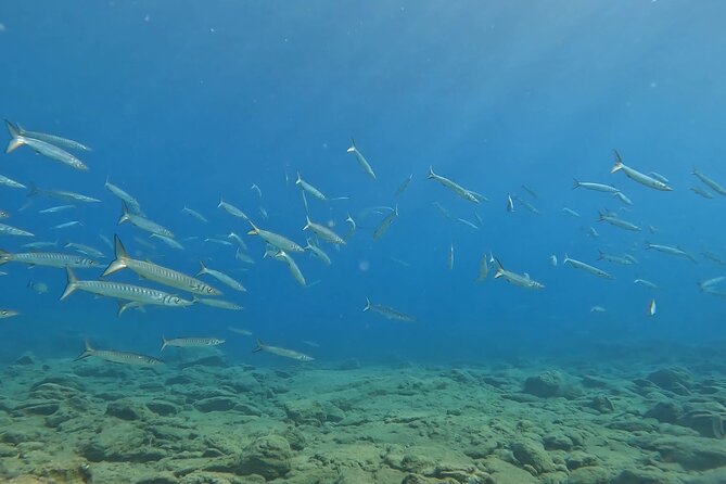 Experience Scuba Diving in Heraklion Crete - Price and what you actually get for $119.47