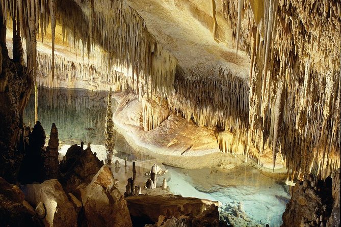 Explore Mallorca: Majorica Pearl Shop and Caves of Drach - Price and what you actually get for $67.21
