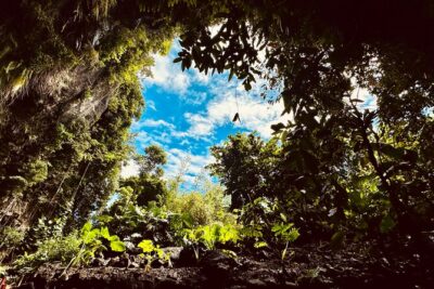 Explore Tahiti Nui, its landscapes and iconic sites. - Cascades de Faarumai and Fa’aone: waterfalls you can actually enjoy