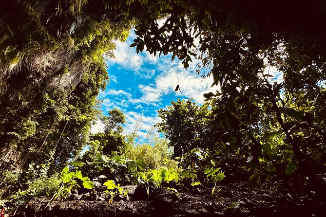 Explore Tahiti Nui, its landscapes and iconic sites. - Cascades de Faarumai and Fa’aone: waterfalls you can actually enjoy