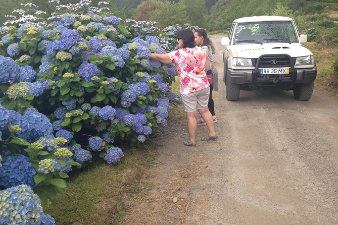 Explore the Wonders of Sete Cidades & West side on a Jeep Tour - When the weather plays tricks: making sense of fog and clouds