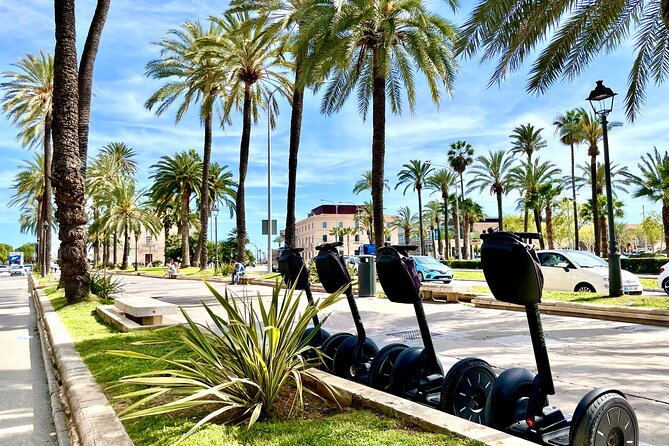 Express 1 hour Segway Tour - Cathedral de Mallorca: the Cathedral of Light up close
