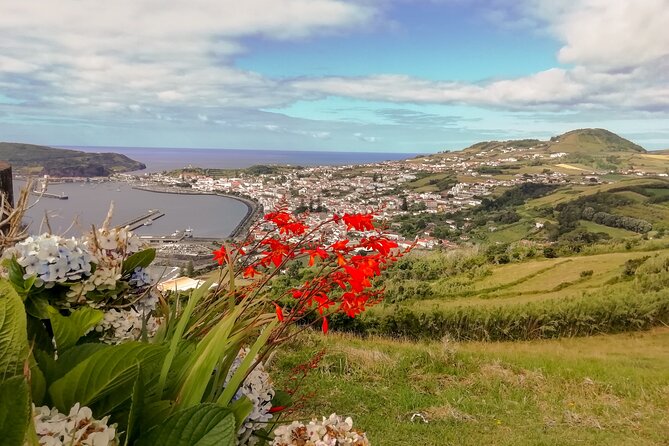 Faial Island: Half Day Tour - Getting picked up: 15 minutes outside your hotel