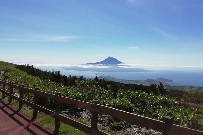 Faial Island: Half Day Tour - Who this tour fits best (and who may want a rental car instead)