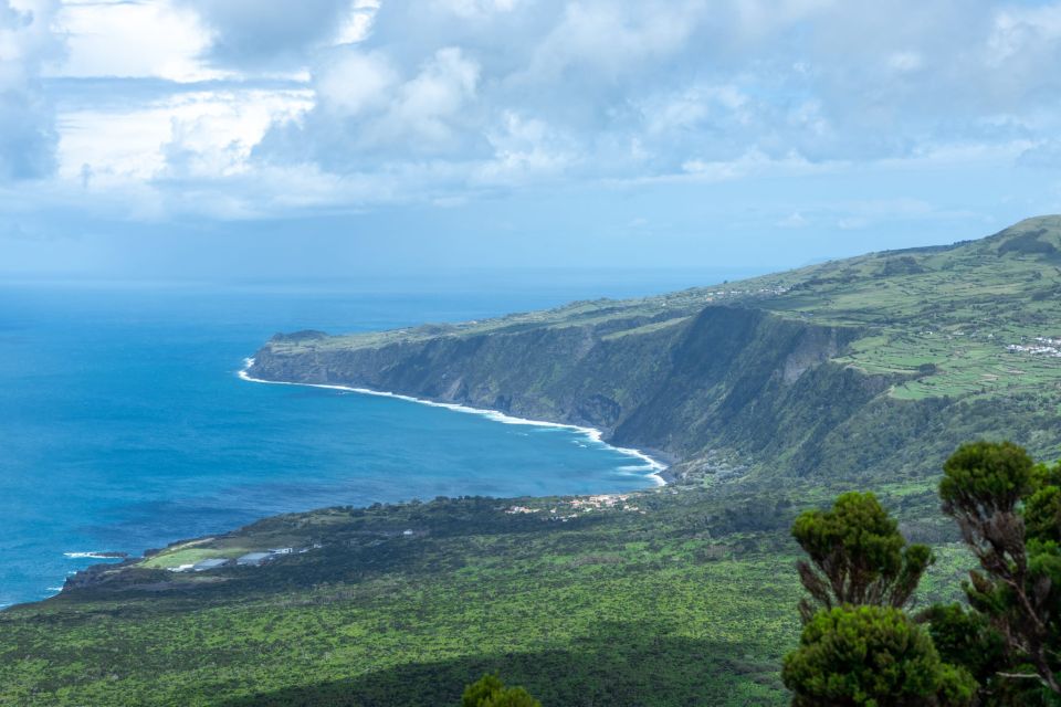 Faial Island Tour: Full Day with lunch - A small-group day that actually fits your time