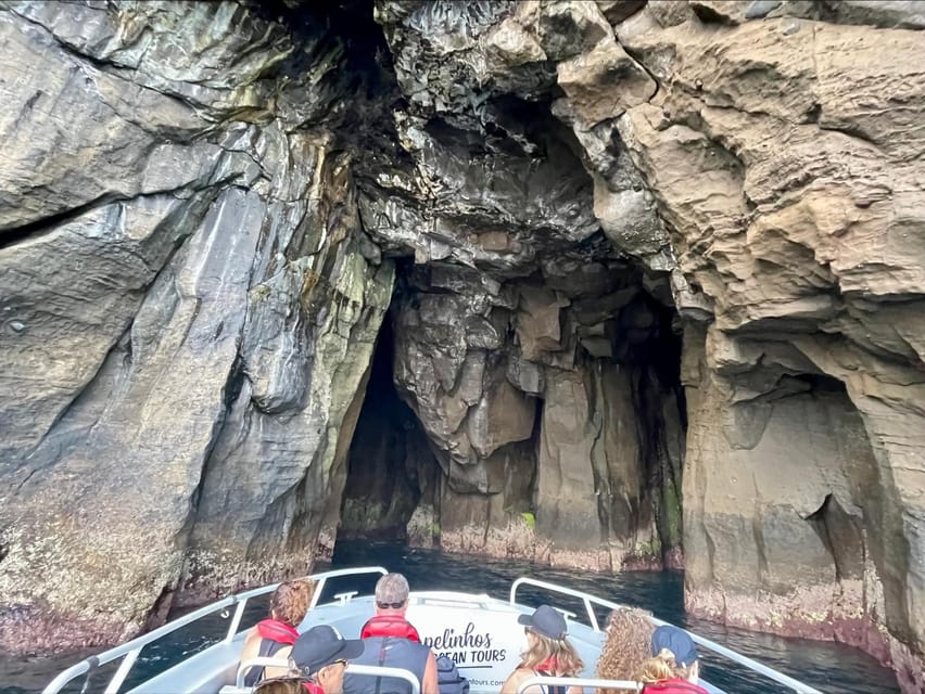 Faial Island: Unique boat tour to the Capelinhos volcano - Getting started at Horta Marina: what happens before you go
