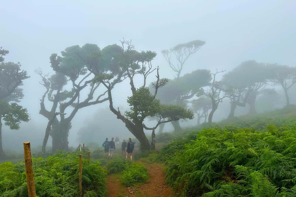 Fanal / Assobiadores - Levada Walk - What the walk feels like under your feet