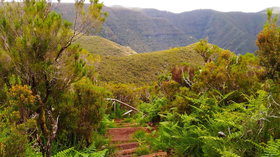Fanal / Assobiadores - Levada Walk - Pickup and meeting points: how to avoid day-of stress