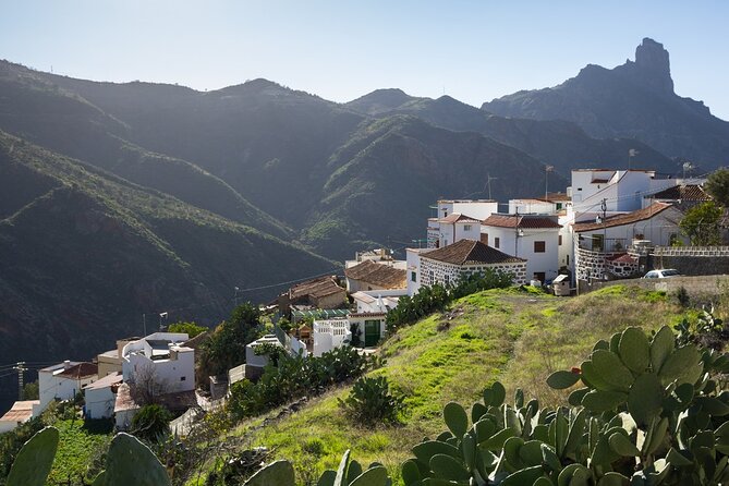 Firgas, Tejeda, Guayadeque - VIP Tour Gran Canaria - Price and comfort: what your $59.13 buys you