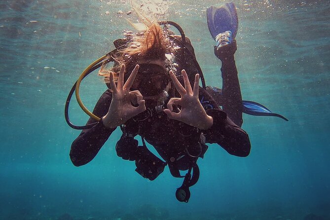 First Dive Experience in Tenerife - Key highlights to know before you go