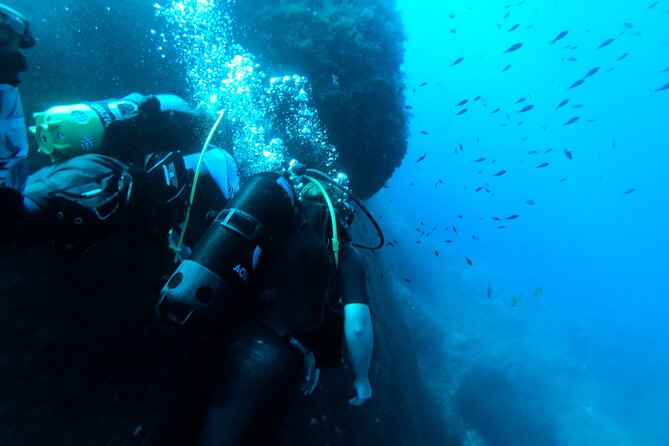 First Experience Scuba Diving - What a first try-scuba session in Malta is really like