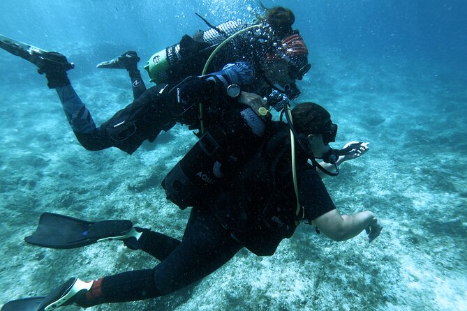 First Experience Scuba Diving - Meeting in Sliema and getting to the water: what the timing really means