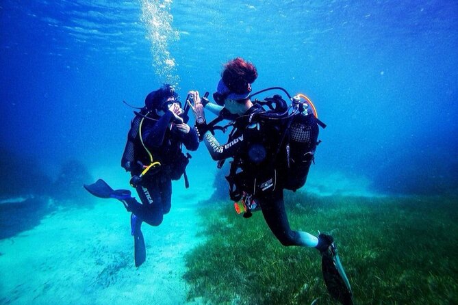 First Experience Scuba Diving - Gear is included, but warmth is on you to manage
