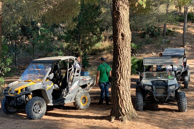 five sense outdoor experience - Who Should Book This Buggy Safari