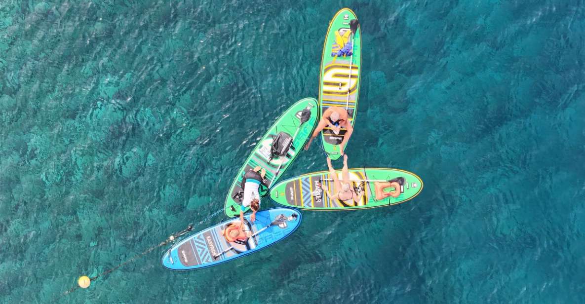 Flamingo Beach: Guided SUP and Snorkeling experience - Flamingo Beach SUP and snorkeling: the 2-hour format that actually works