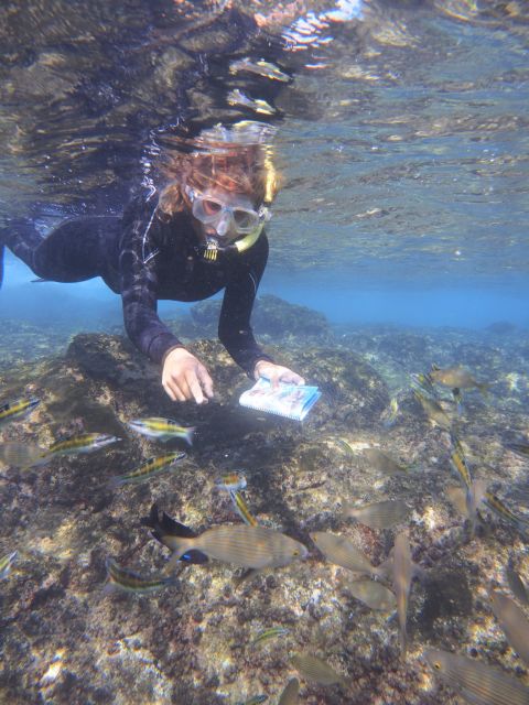 Flamingo Beach: Guided SUP and Snorkeling experience - Where it starts: pickup and meeting in Playa Blanca