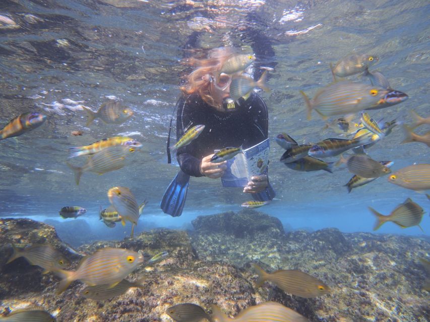 Flamingo Beach: Guided SUP and Snorkeling experience - The view phase: paddling out and taking in the coastline