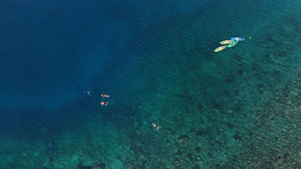 Flamingo Beach: Guided SUP and Snorkeling experience - Second phase: snorkeling with fish ID, not guesswork