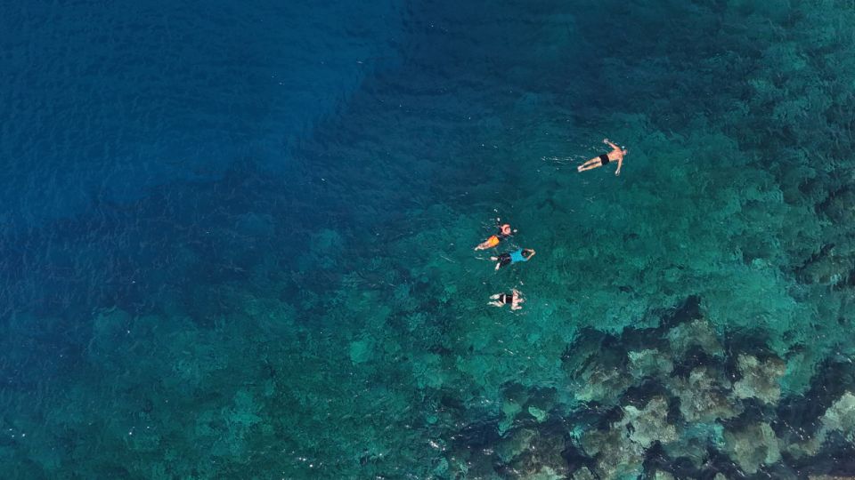 Flamingo Beach: Guided SUP and Snorkeling experience - Safety briefing and how the guide manages real ocean variables