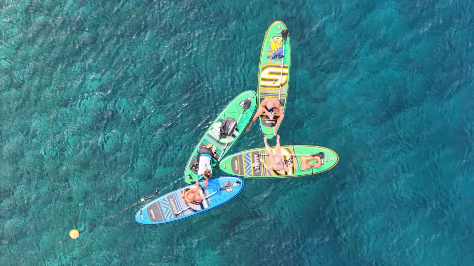 Flamingo Beach: Guided SUP and Snorkeling experience - Small-group value: why “up to 9” matters on the water
