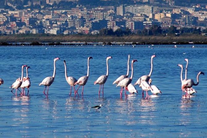 Flamingos Sightseeing Segway Tour - Basilica of Bonaria: a quick hit of Cagliari’s spiritual center