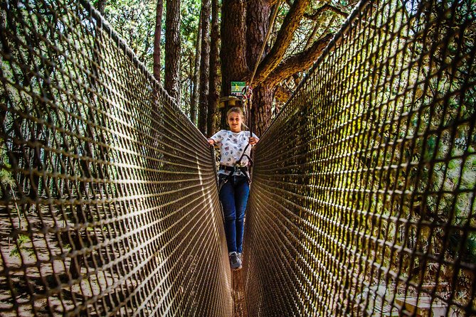 Forestal Park Tenerife Entrance Ticket - Climbing up: rope ladders and treetop obstacles