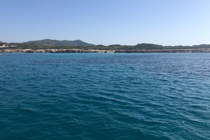 Formentera Small-Group Day Trip by Sailboat from Ibiza - Stop 2: Playa de Ses Illetes for white sand, famous water, and optional lunch ashore