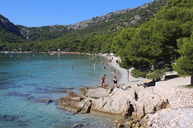 Formentor with boat trip + local market - Key things to know before you go