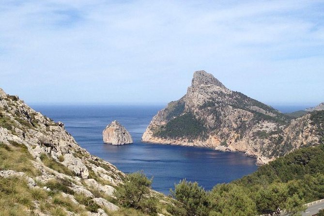 Formentor with boat trip + local market - Port de Pollença: 45 minutes to enjoy the marina mood