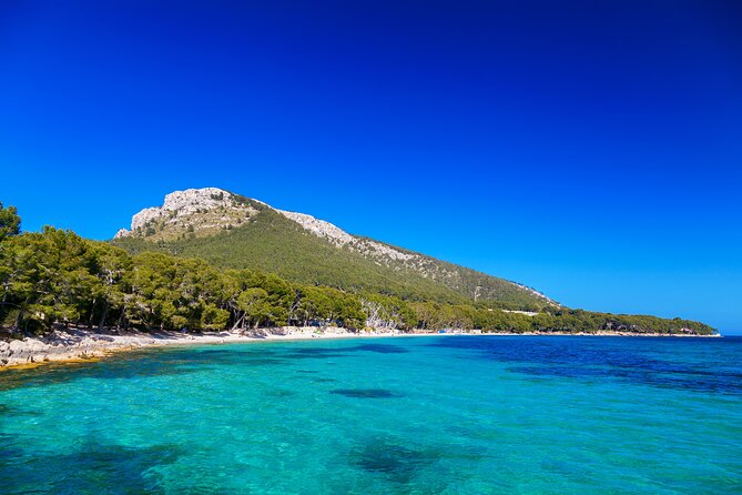 Formentor with boat trip + local market - Pickup, coaches, and group size: expect a structured day
