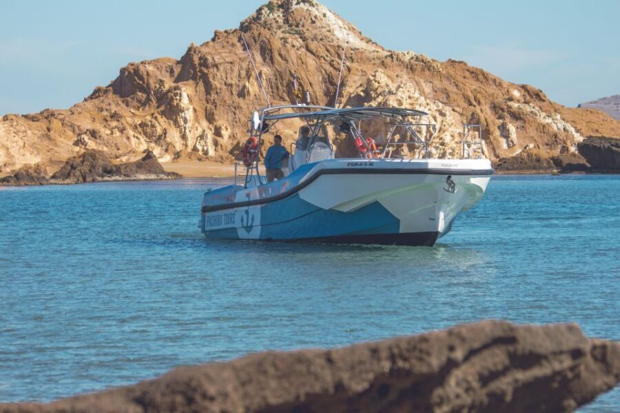 Fornells: 3-Hour Boat Tour Along Menorcan Coast - Fornells Coast in Three Hours: Fast, Stable, and Actually Fun