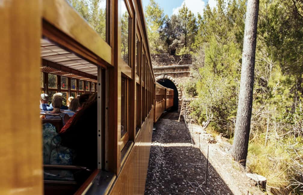 From Alcúdia: Soller Train and Tram Half Day Tour - Key highlights worth your attention