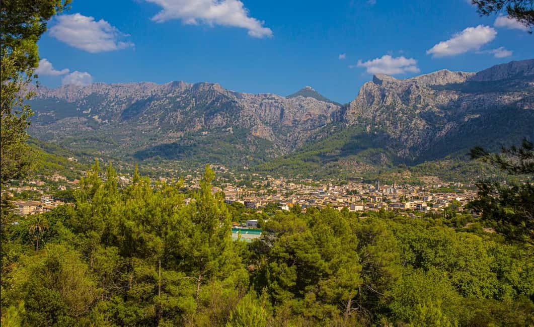 From Alcúdia: Soller Train and Tram Half Day Tour - The coach return: why the clock matters on a half-day tour