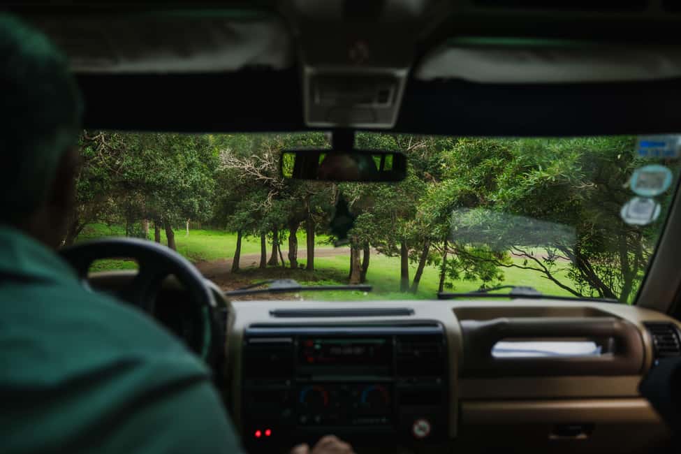 From Angra: Terceira Island Full-Day Jeep Tour (Shared Tour) - Off-road Terceira: Agualva and Biscoitos are the real personality test