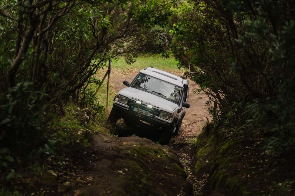 From Angra: Terceira Island Full-Day Jeep Tour (Shared Tour) - Monte Brasil to Ribeirinha: why these early stops matter
