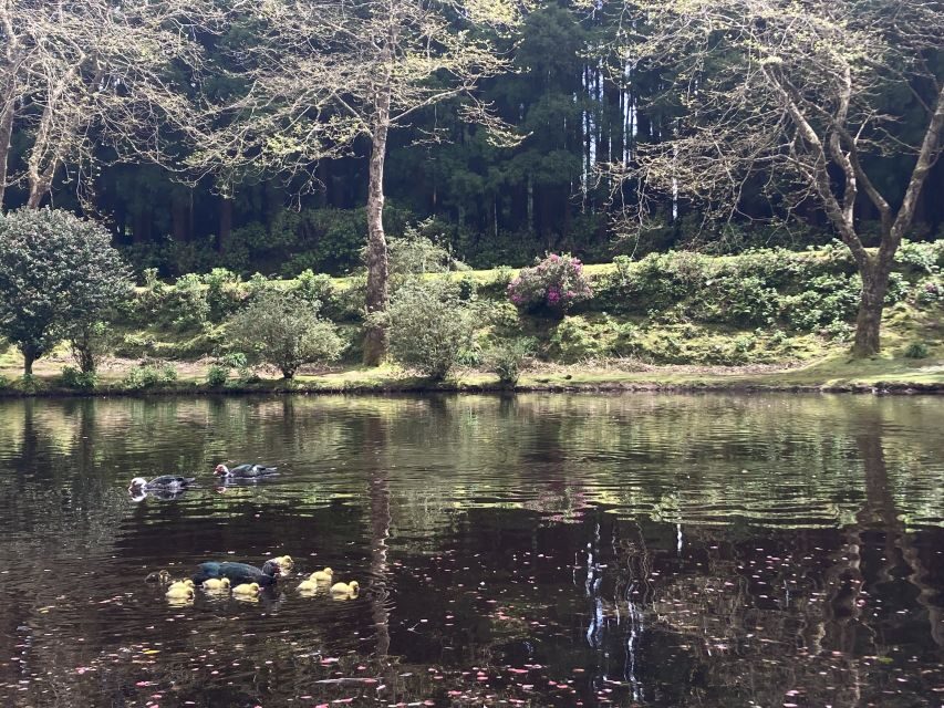 From Angra: Terceira Island Full-Day Tour - What to Bring (and What Can Trip You Up)