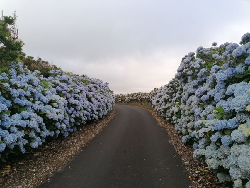 From Angra: Terceira Island Full-Day Tour - Praia da Vitória Lunch Break: How to Use the Free Time