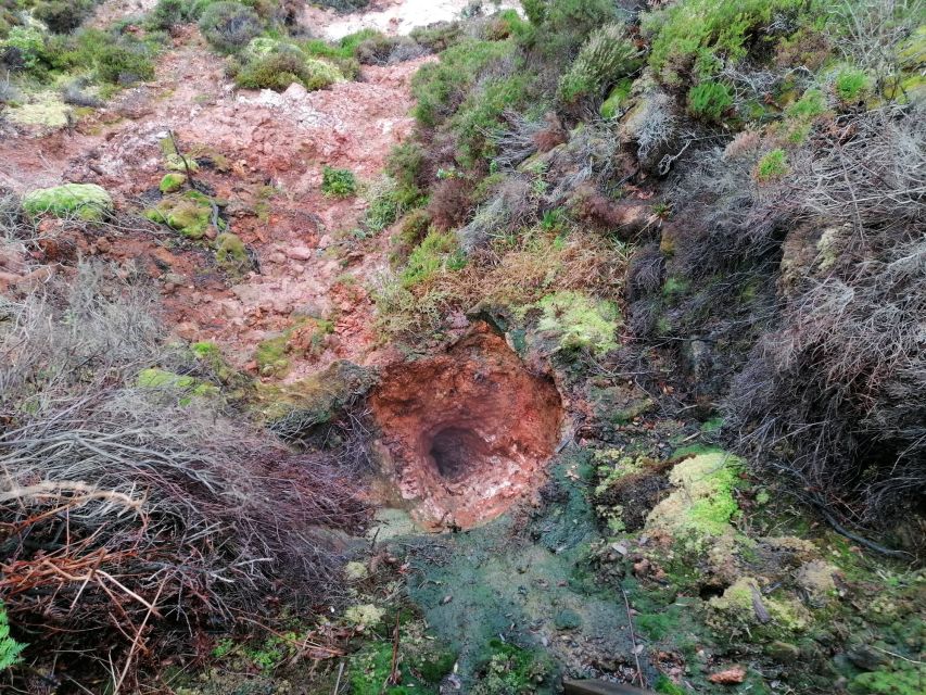 From Angra: Terceira Island Half-Day Geotour (Shared Tour) - Stop 2: Furnas do Enxofre fumaroles and Azores plant life